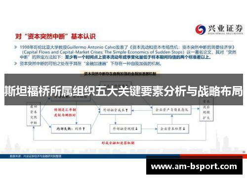 斯坦福桥所属组织五大关键要素分析与战略布局