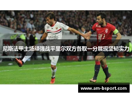 尼斯法甲主场顽强战平里尔双方各取一分展现坚韧实力 尼斯法甲主场顽强战平里尔双方各取一分展现坚韧实力