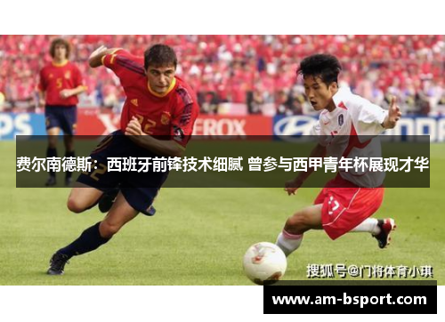 费尔南德斯：西班牙前锋技术细腻 曾参与西甲青年杯展现才华