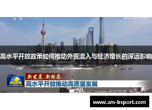 高水平开放政策如何推动外资流入与经济增长的深远影响